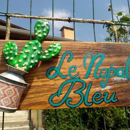 Le Nopal Bleu Apartman Tarascon-sur-Ariège Kültér fotó
