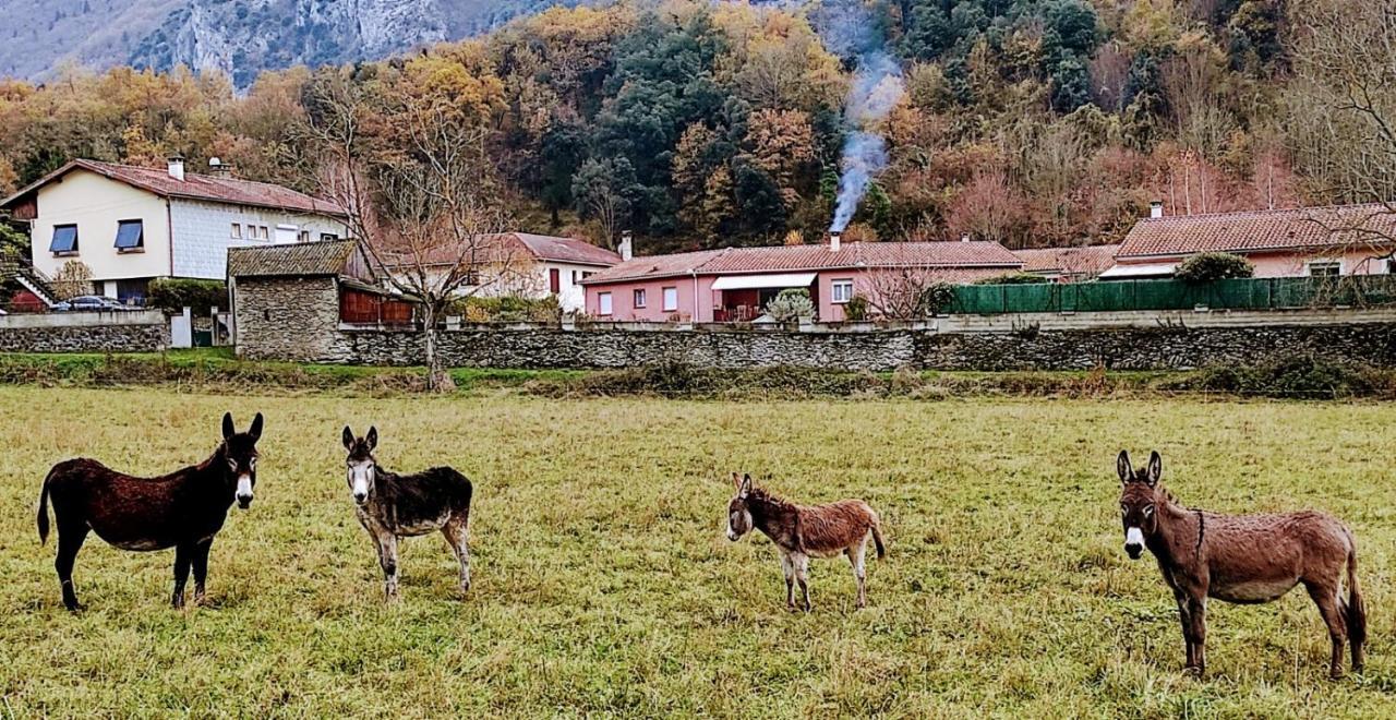 Le Nopal Bleu Apartman Tarascon-sur-Ariège Kültér fotó