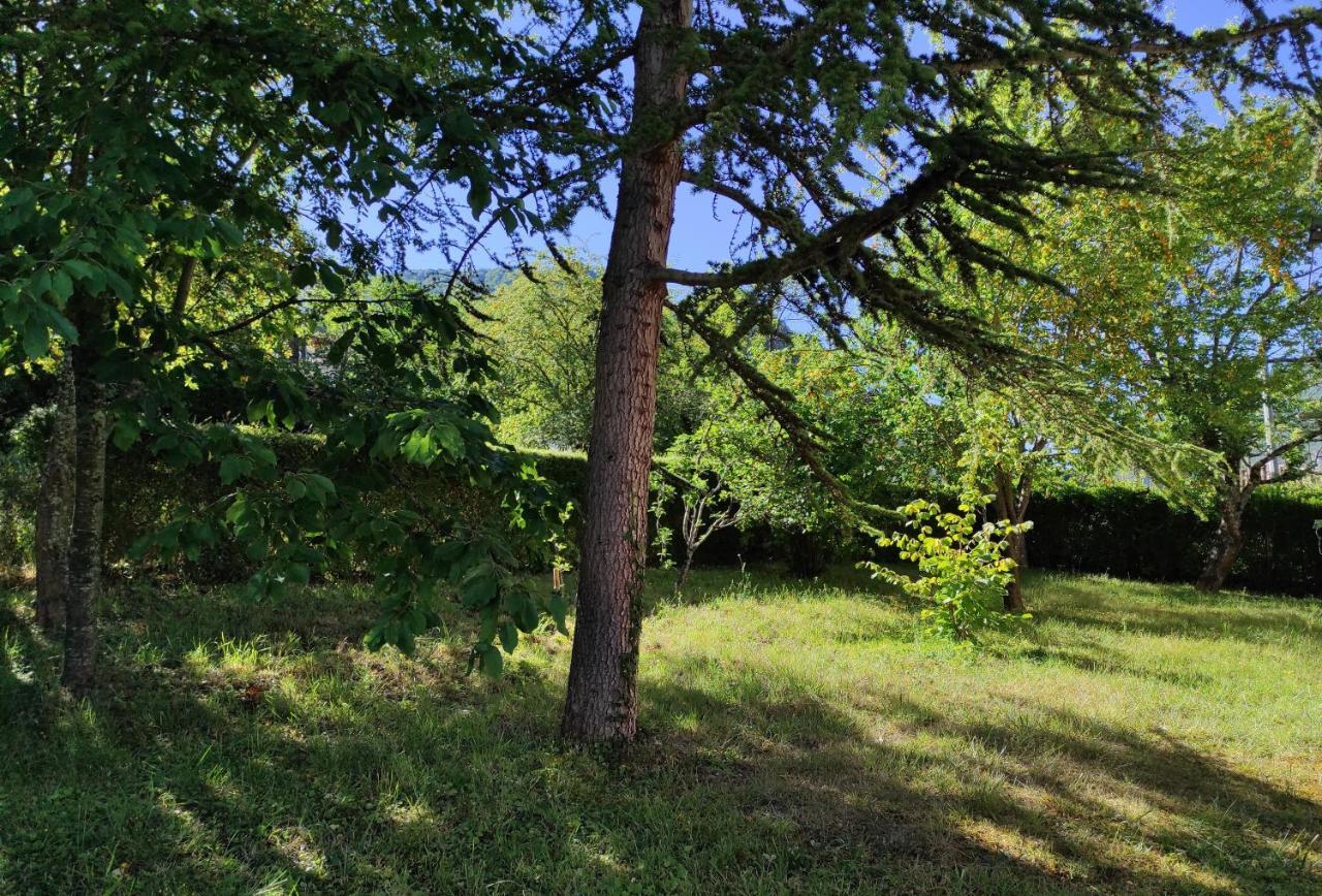 Le Nopal Bleu Apartman Tarascon-sur-Ariège Kültér fotó